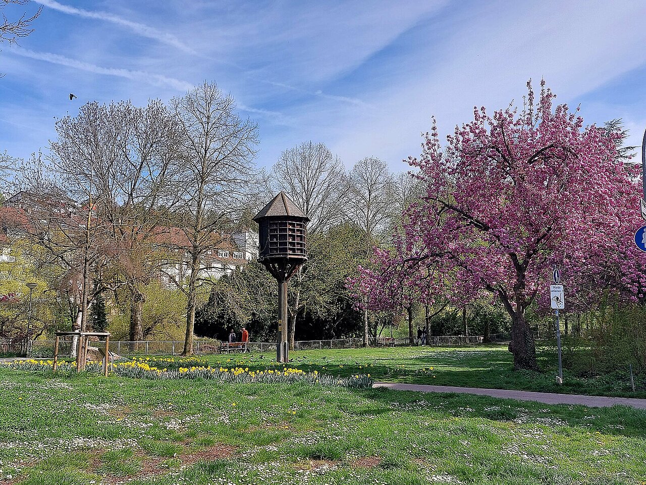 Frühlingsbild Bleichstraße 5