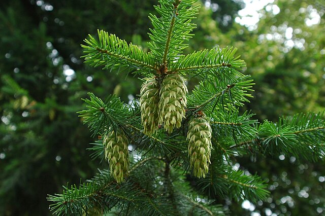  - copyright:Stadt Pforzheim