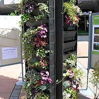 Abteilung Klimaschutz auf der Baumesse Pforzheim