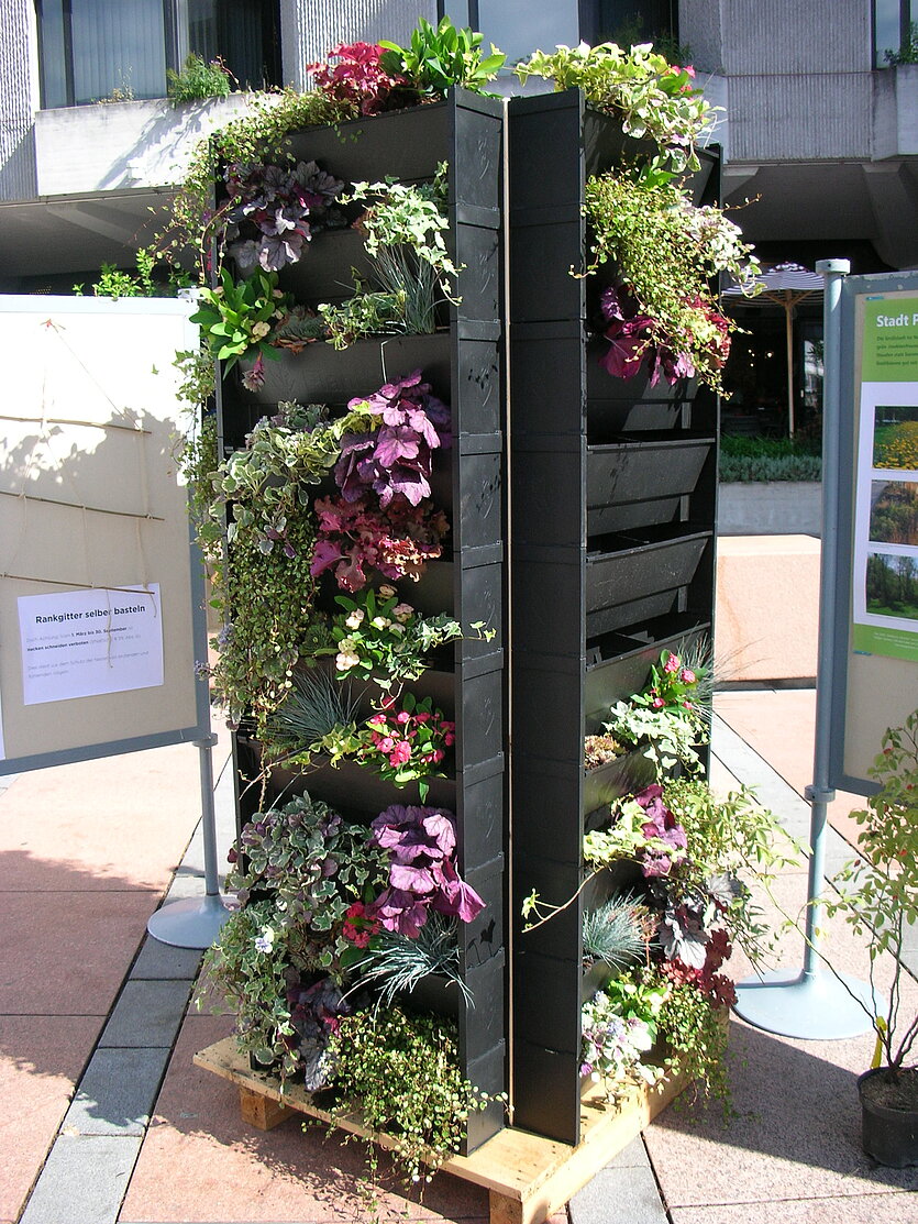  - copyright: Stadt Pforzheim - Ersteller: Stadt Pforzheim