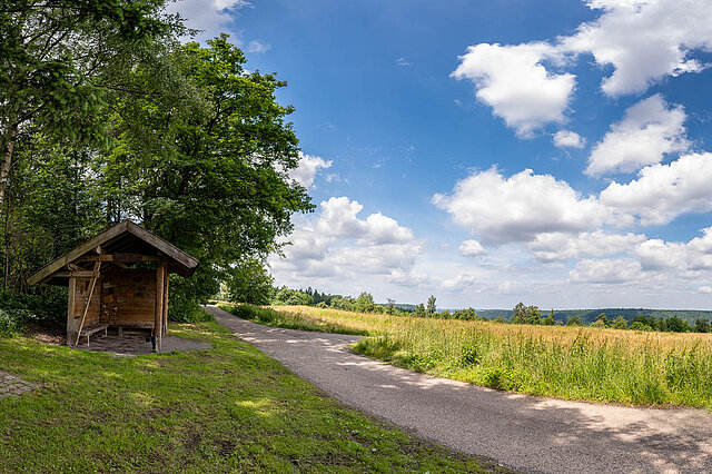 Würmer Schnecken Runde - Foto: Pierre Johne Würmer Schnecken Runde - Foto: Pierre Johne