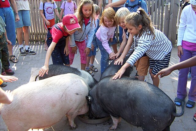  - copyright:Stadt Pforzheim