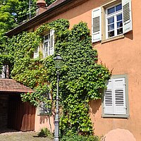 Farbfoto: Mit Efeu bewachsenes Haus mit einen orangfarbenen Fassade und weißen Fensterläden