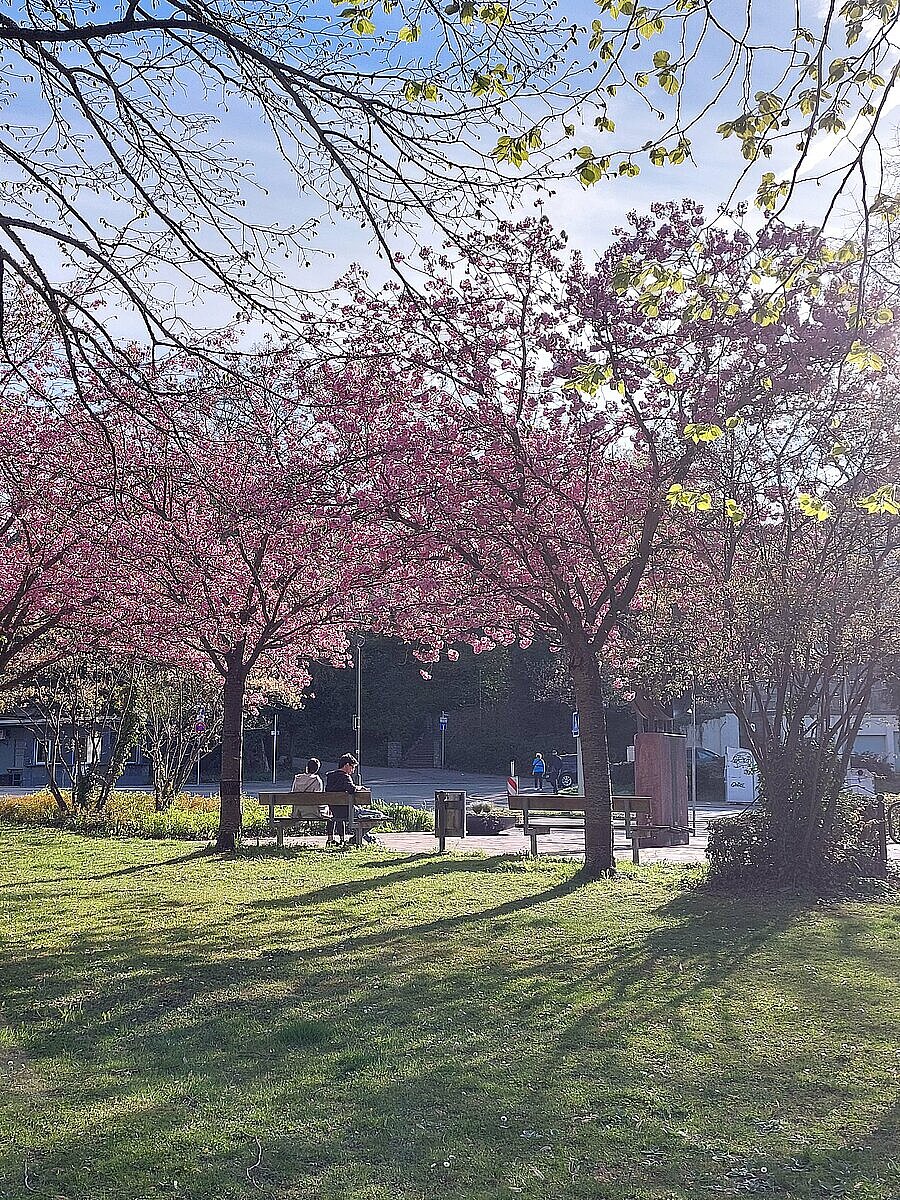 Frühlingsbild Bleichstraße 15