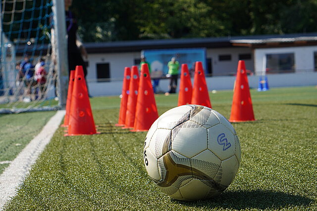 Ein weißer Fußball liegt vor 9 roten Kegeln auf dem Rasen. - copyright:Stadt Pforzheim