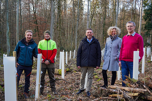 Baumbepflanzung Hohberg