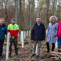 Baumbepflanzung Hohberg