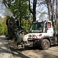 Bekämpfung Eichenprozessionsspinner