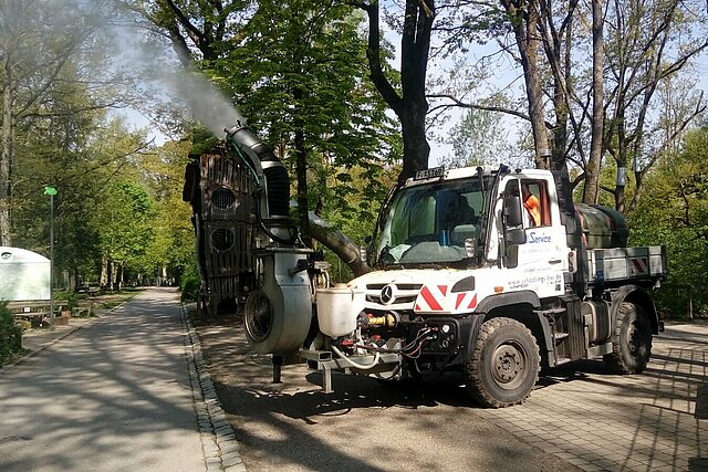 Bekämpfung Eichenprozessionsspinner