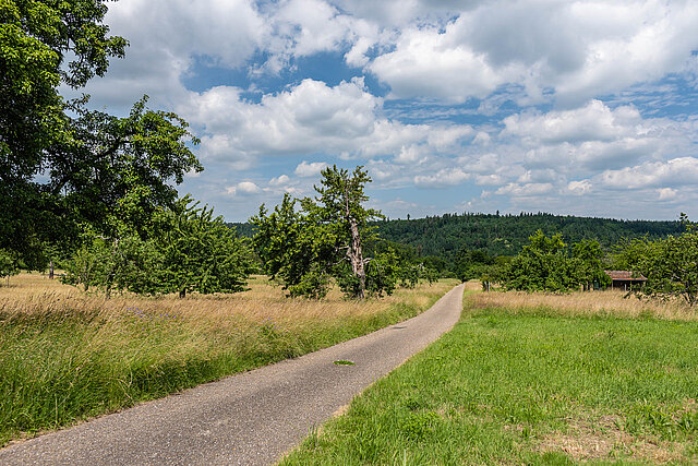 Würmer Schnecken Runde - Foto: Pierre Johne Würmer Schnecken Runde - Foto: Pierre Johne