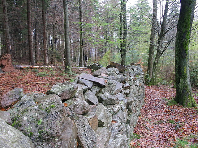 Bild: Wildmauer in Hohenwart ©Karola Keitel