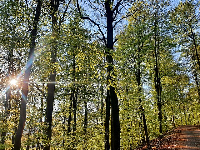 - copyright:Stadt Pforzheim