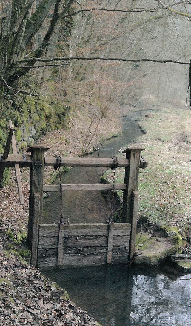 Foto: Historische Wehranlage im Würmtal